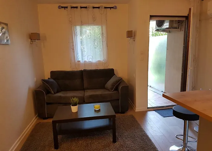 Les Palmiers A 700m De La Nice