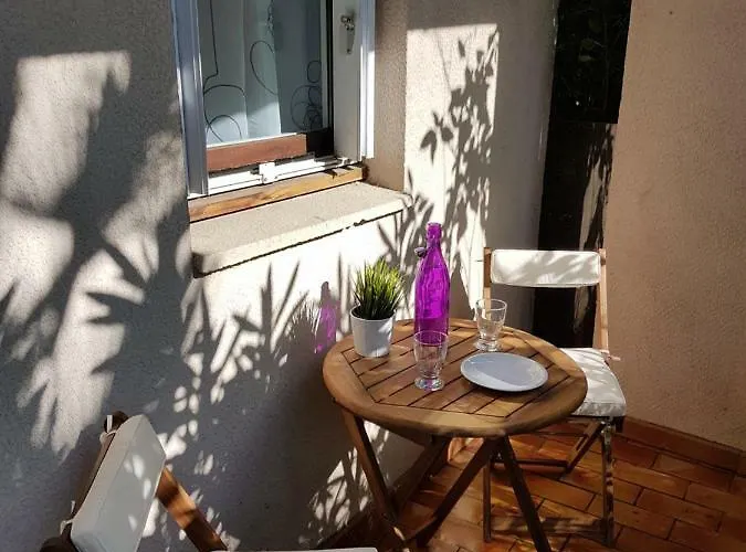 Les Palmiers A 700m De La * Nice