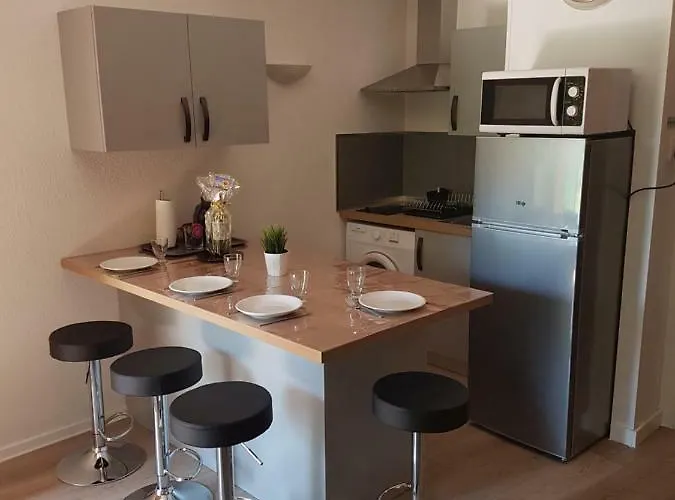 Les Palmiers A 700m De La * Nice