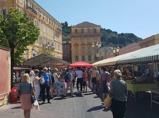 Les Palmiers A 700m De La Nice
