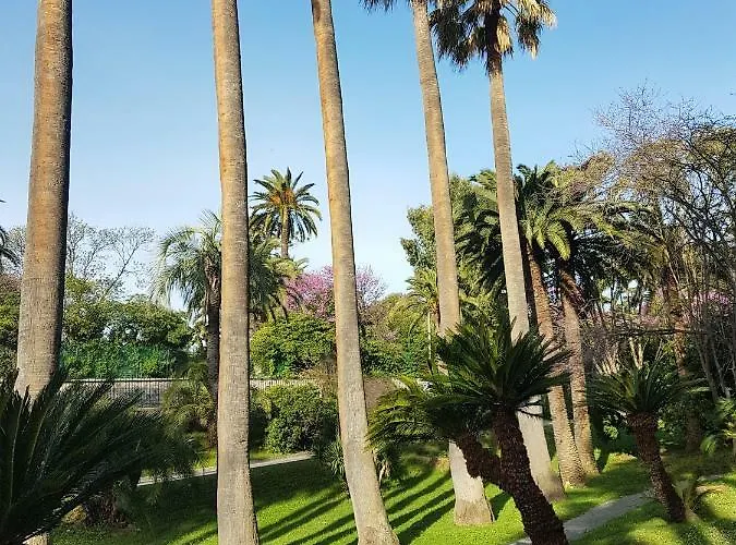 Lägenhet Les Palmiers A 700m De La