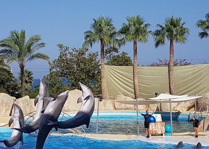 Lägenhet Les Palmiers A 700m De La Nice