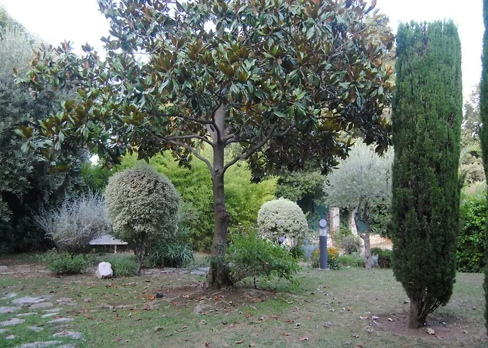 Les Palmiers A 700m De La * Nice