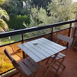 Les Palmiers A 700m De La