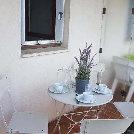 Les Palmiers A 700m De La Nizza