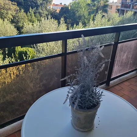 Les Palmiers A 700m De La Apartment Nizza