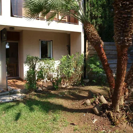 Les Palmiers A 700m De La Nizza