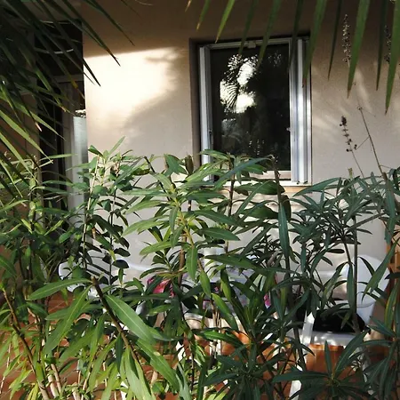 Apartment Les Palmiers A 700m De La