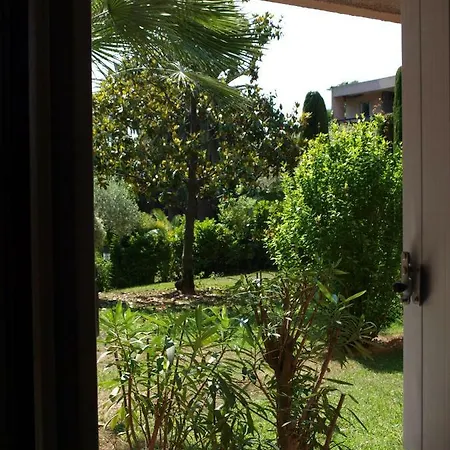 Les Palmiers A 700m De La * Nizza