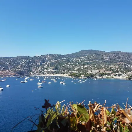 Les Palmiers A 700m De La Apartment *