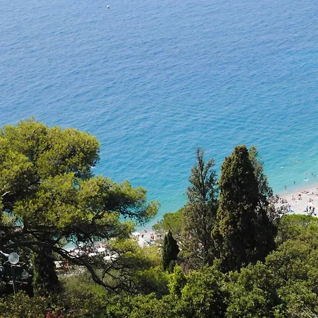 Les Palmiers A 700m De La Apartment *