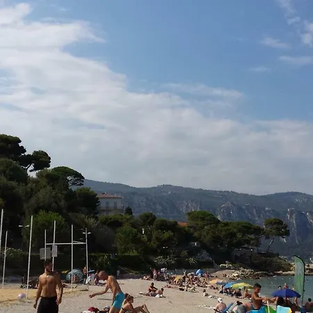 Les Palmiers A 700m De La Nizza