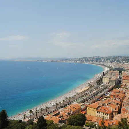 Les Palmiers A 700m De La Apartment
