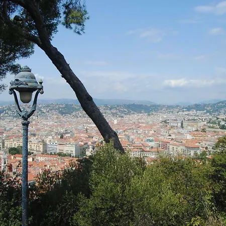 Les Palmiers A 700m De La