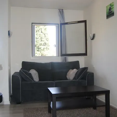 Les Palmiers A 700m De La