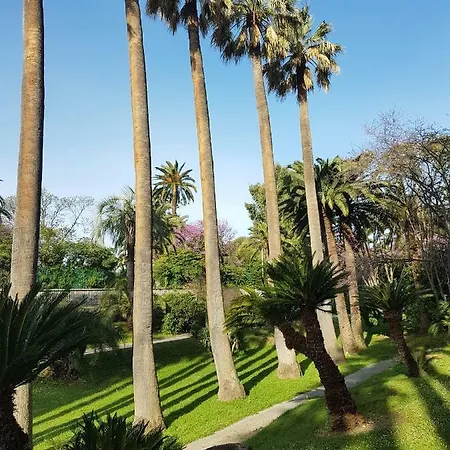 Apartment Les Palmiers A 700m De La