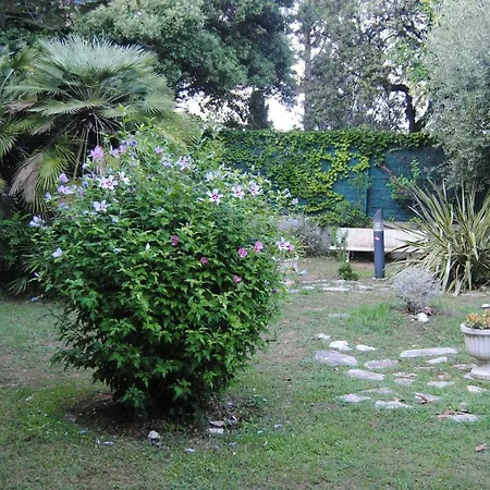 Les Palmiers A 700m De La *